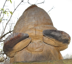 Einsiedlerkrebs