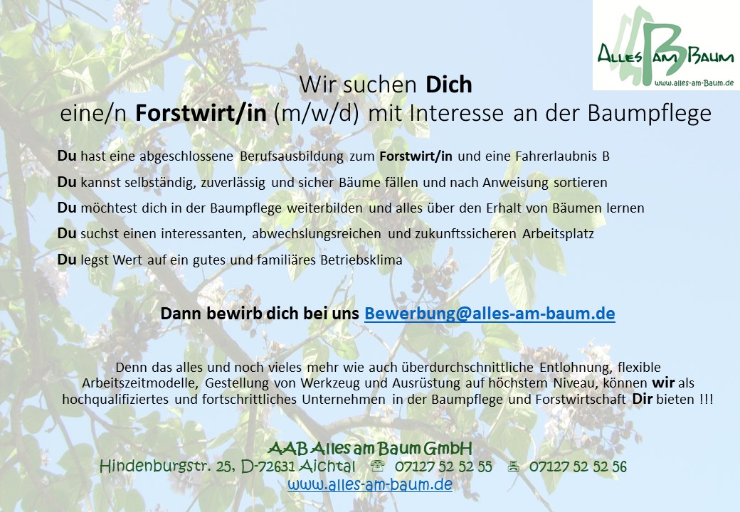Wir suchen einen Forstwirt (m/w/d) mit Interesse an der Baumpflege